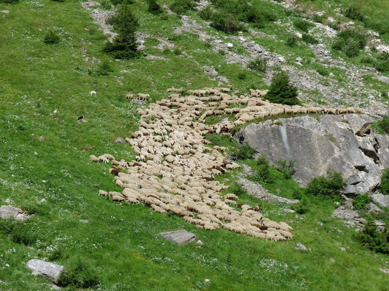 Tour du Mont Blanc Cyclo 2016 – zdjęcie 5 z 10