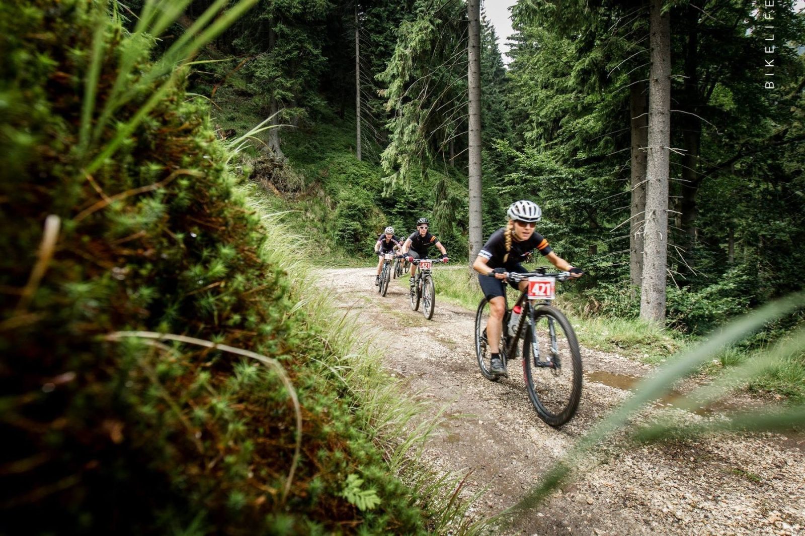 Sudety MTB Challenge 2016 – zdjęcie 8 z 27