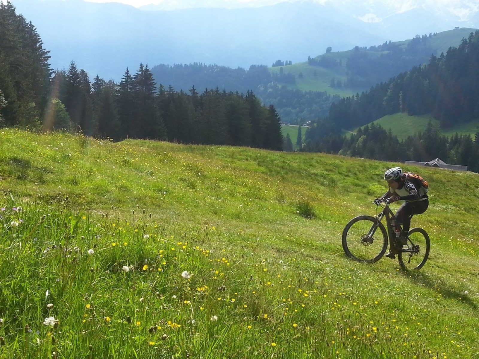 Wycieczki rowerowe 2015 – zdjęcie 11 z 60