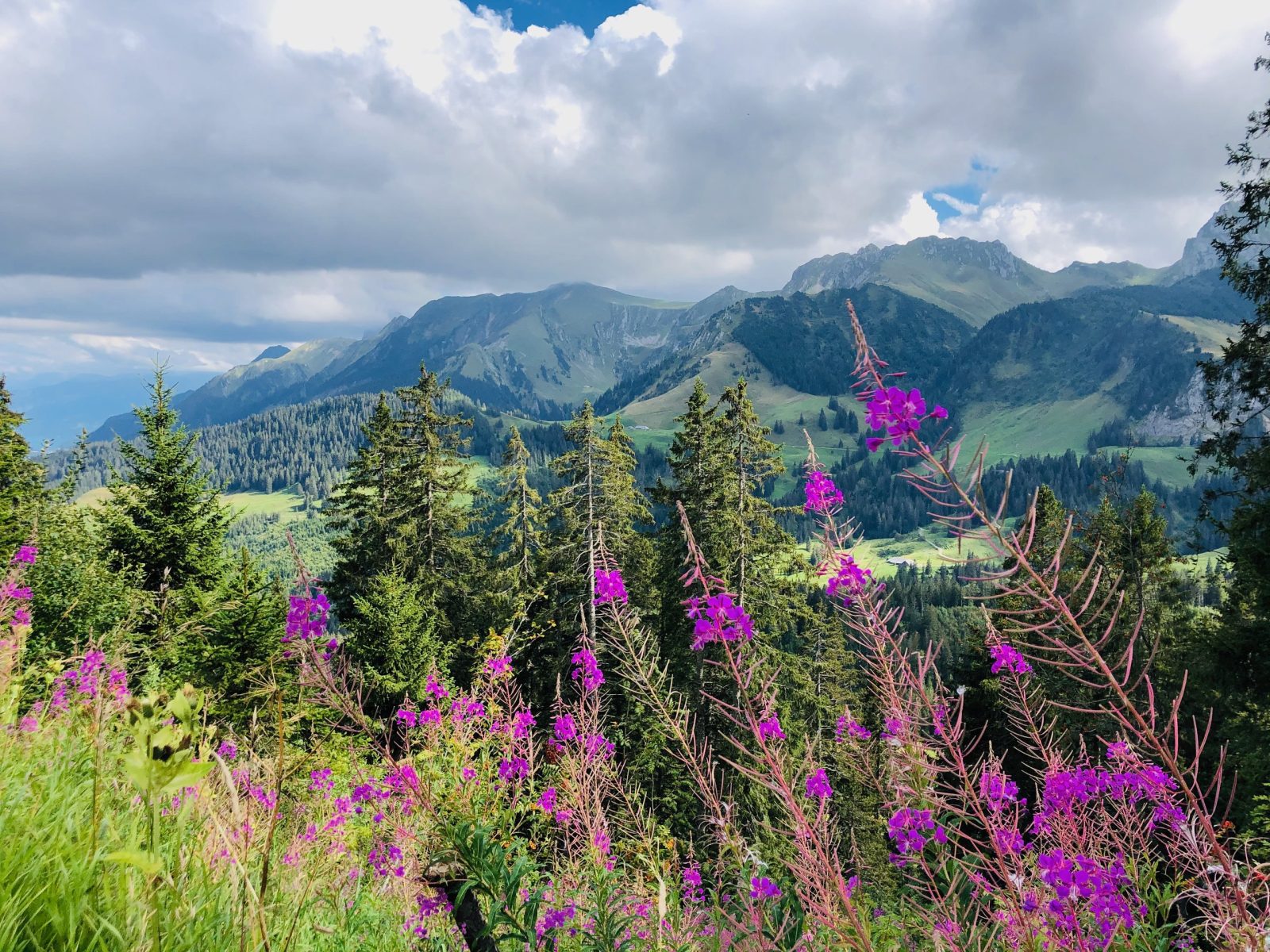 Brienz, Belpberg i Gurnigel – zdjęcie 7 z 7