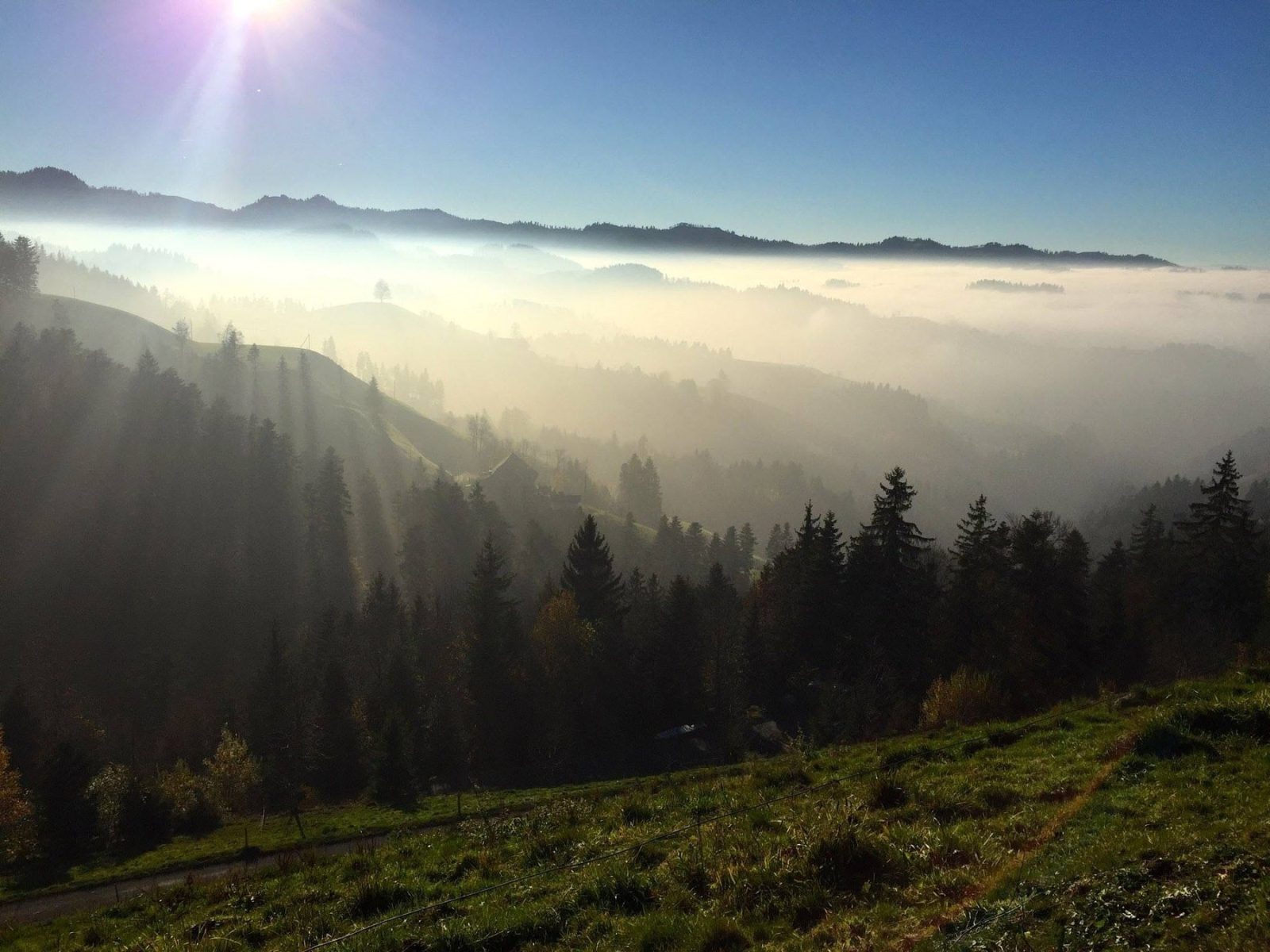 Wycieczki rowerowe 2015 – zdjęcie 53 z 60