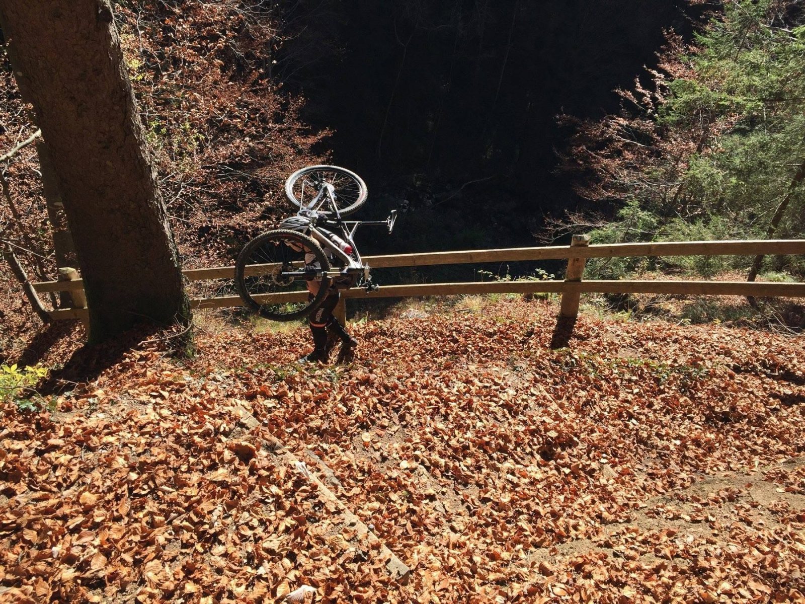 Wycieczki rowerowe 2015 – zdjęcie 59 z 60