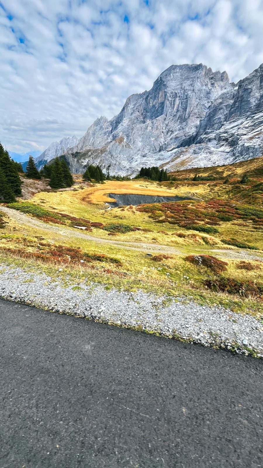 Grosse Scheidegg z Kingą – zdjęcie 6 z 16