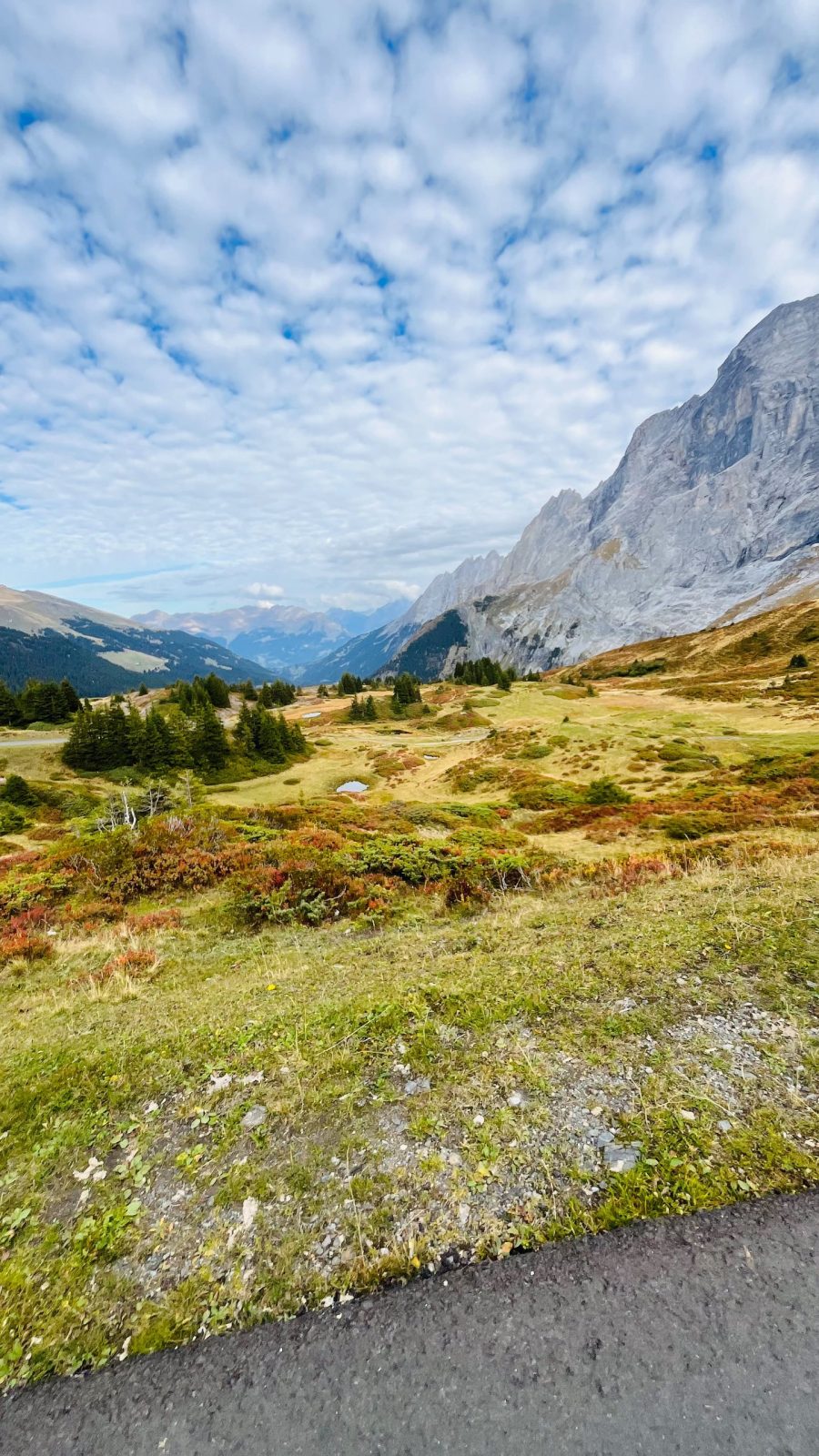 Grosse Scheidegg z Kingą – zdjęcie 16 z 16